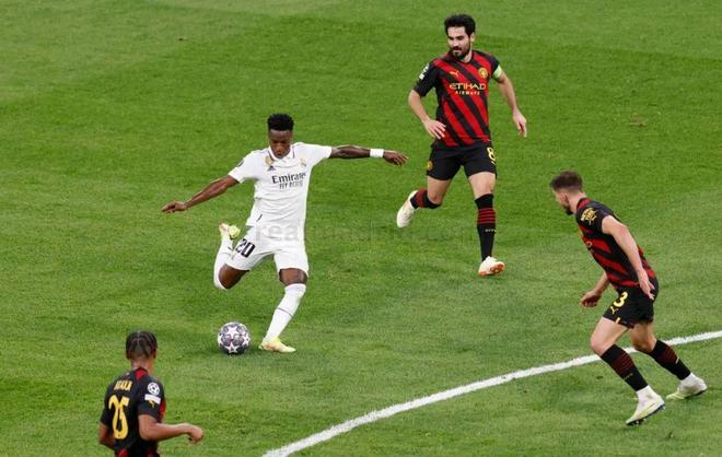 的重要拼图 的重要拼图