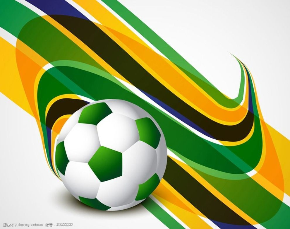 组委会还将 组委会还将