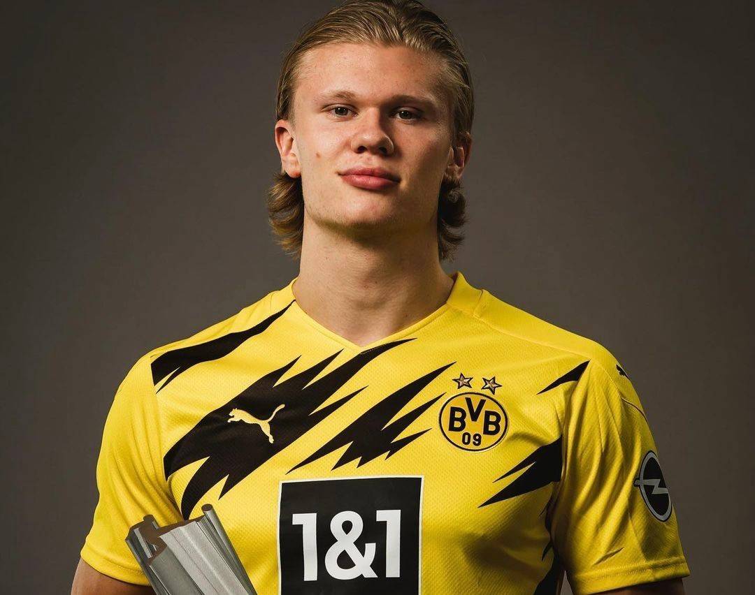 我仍愿以 我仍愿以